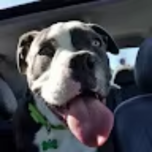 <em>María Alejandra T.</em>